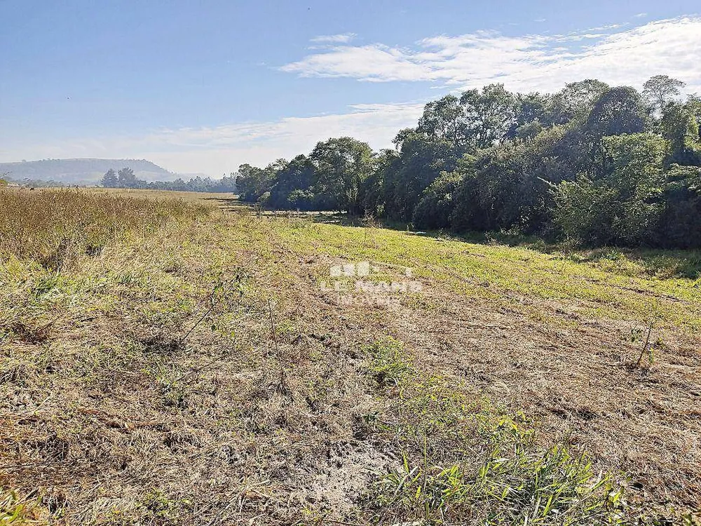Fazenda, 5 hectares - Foto 11
