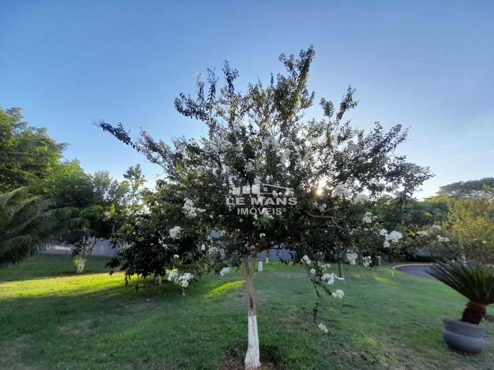 Terreno, 325 m² - Foto 16