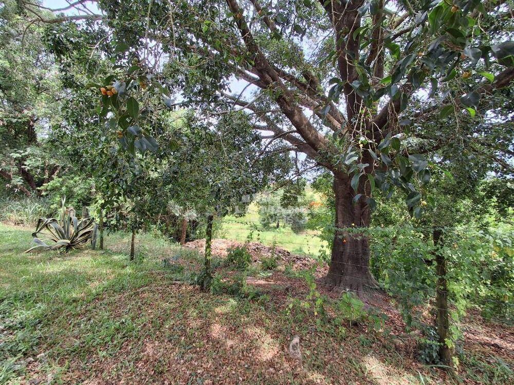 Terreno, 5000 m² - Foto 1