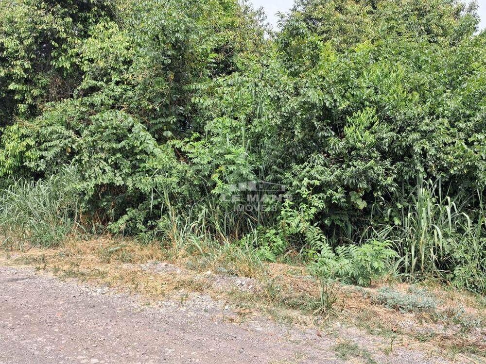 Terreno, 5000 m² - Foto 4