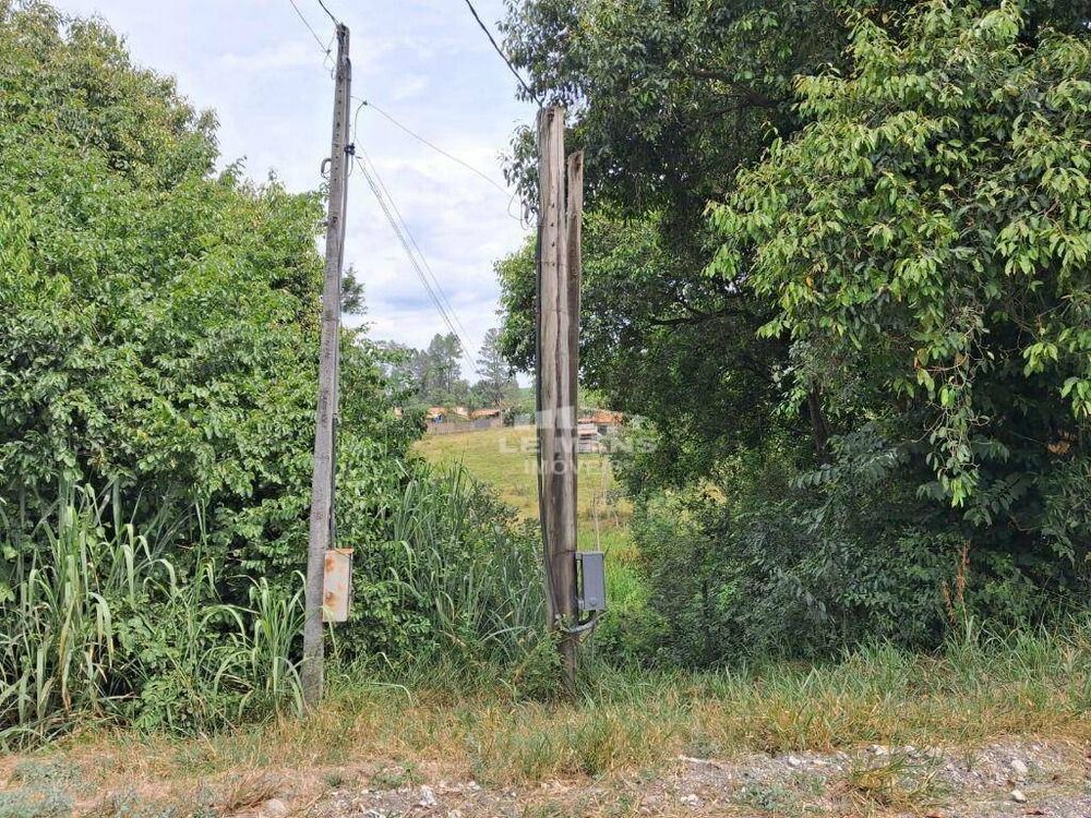 Terreno, 5000 m² - Foto 3