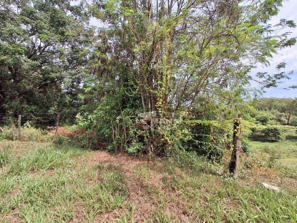 Terreno, 5000 m² - Foto 2