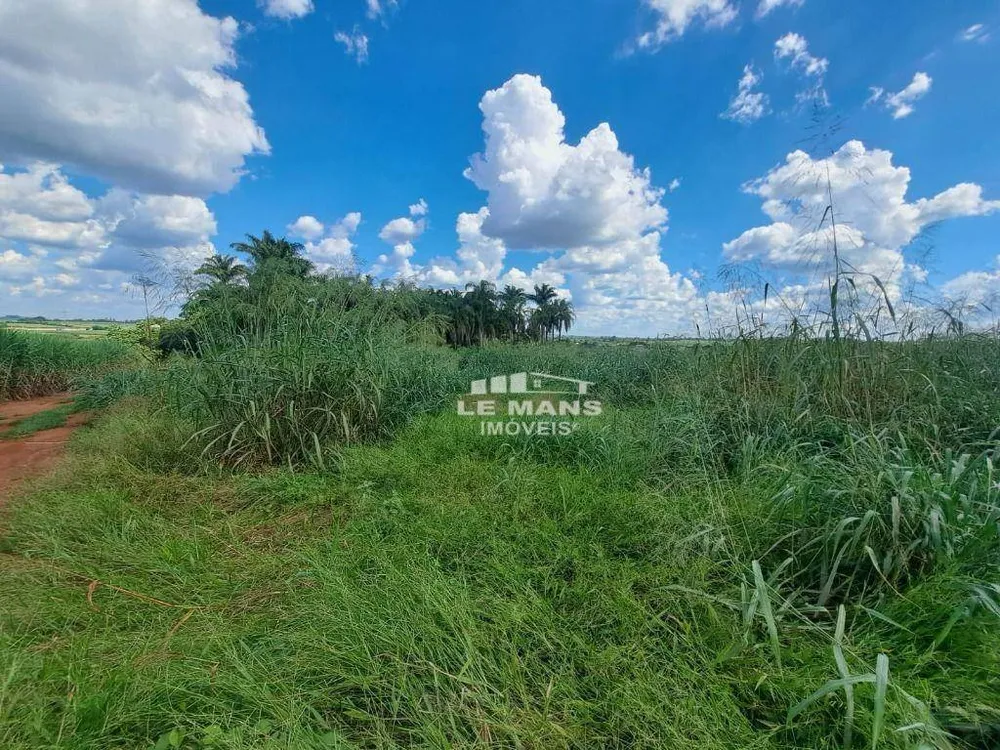 Terreno, 6000 m² - Foto 4