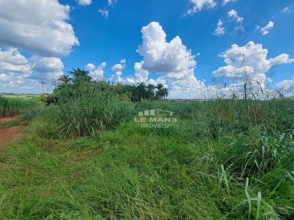 Terreno, 6000 m² - Foto 2