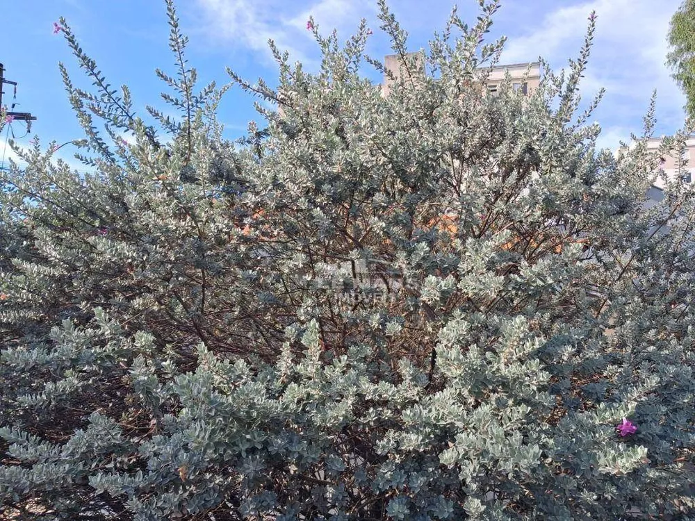 Terreno, 208 m² - Foto 2