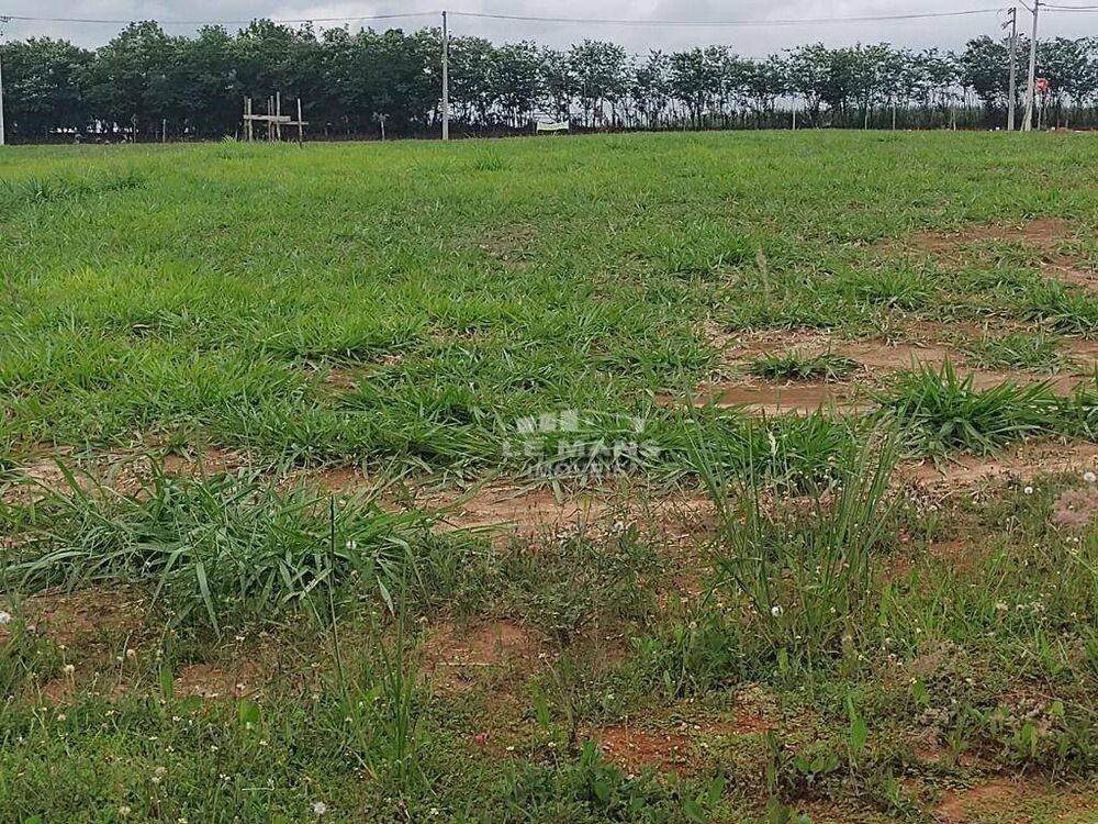 Terreno, 288 m² - Foto 2