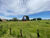 Terreno, 2 hectares - Foto 6