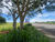 Terreno, 2 hectares - Foto 9