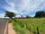Terreno, 2 hectares - Foto 7