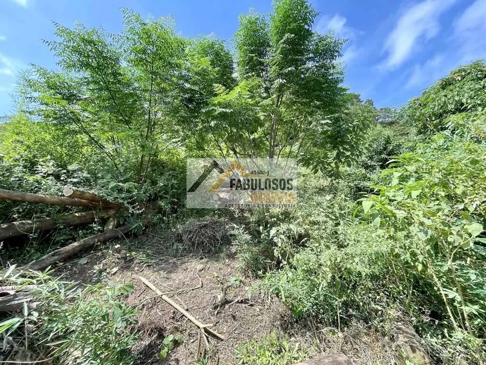Terreno - Foto 2