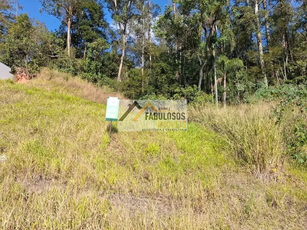 Terreno - Foto 5