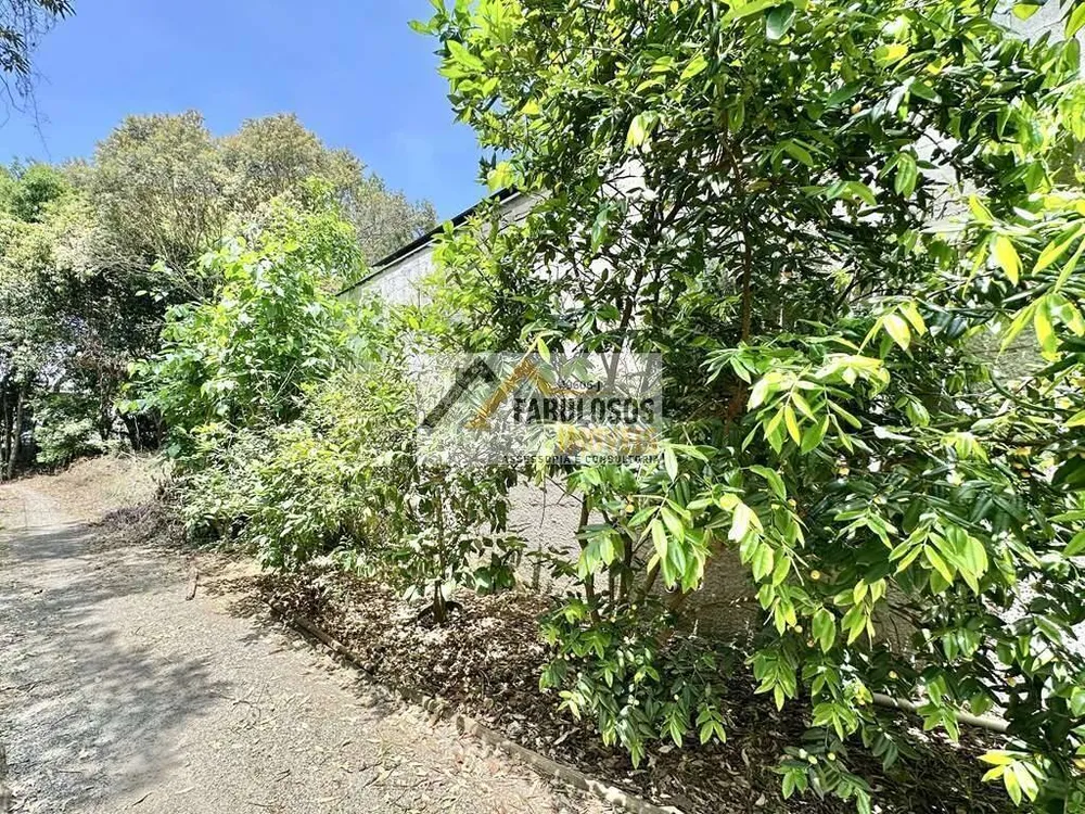 Casa, 5 quartos, 401 m² - Foto 4