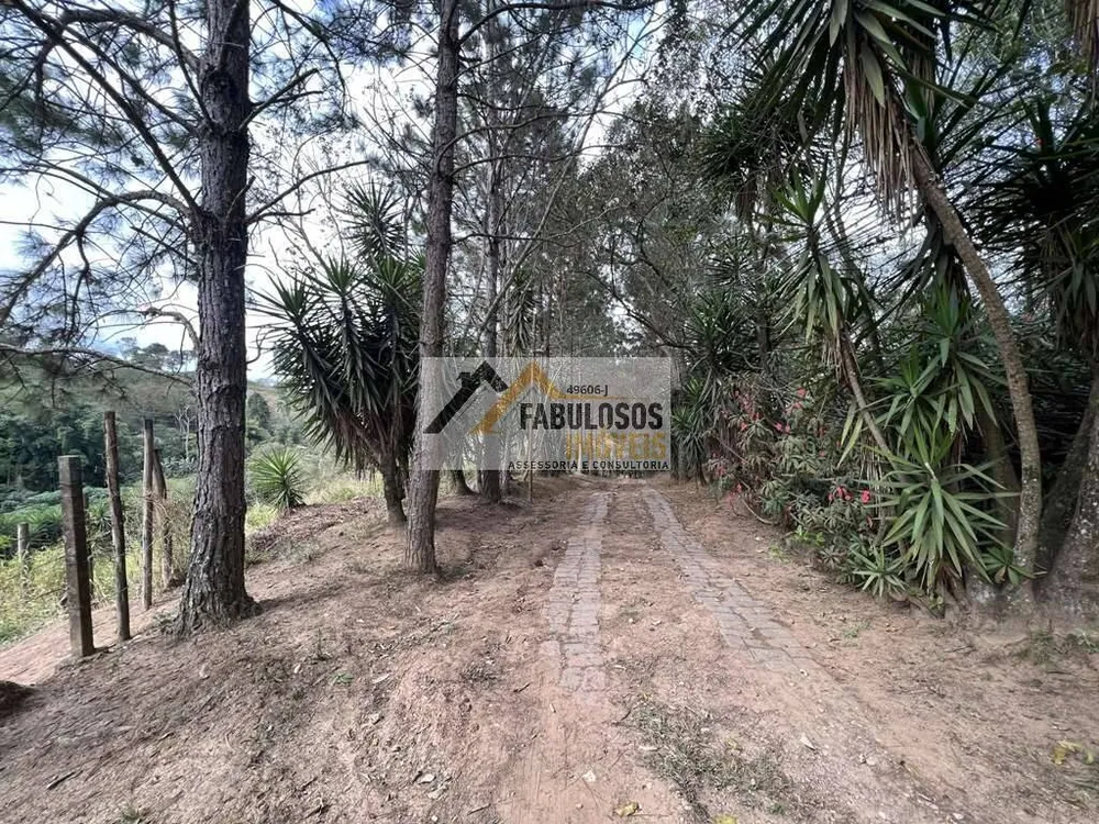 Terreno - Foto 3