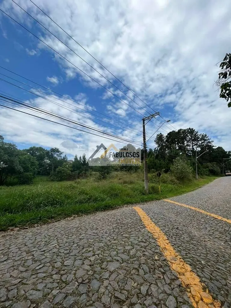 Terreno, 4973 m² - Foto 8