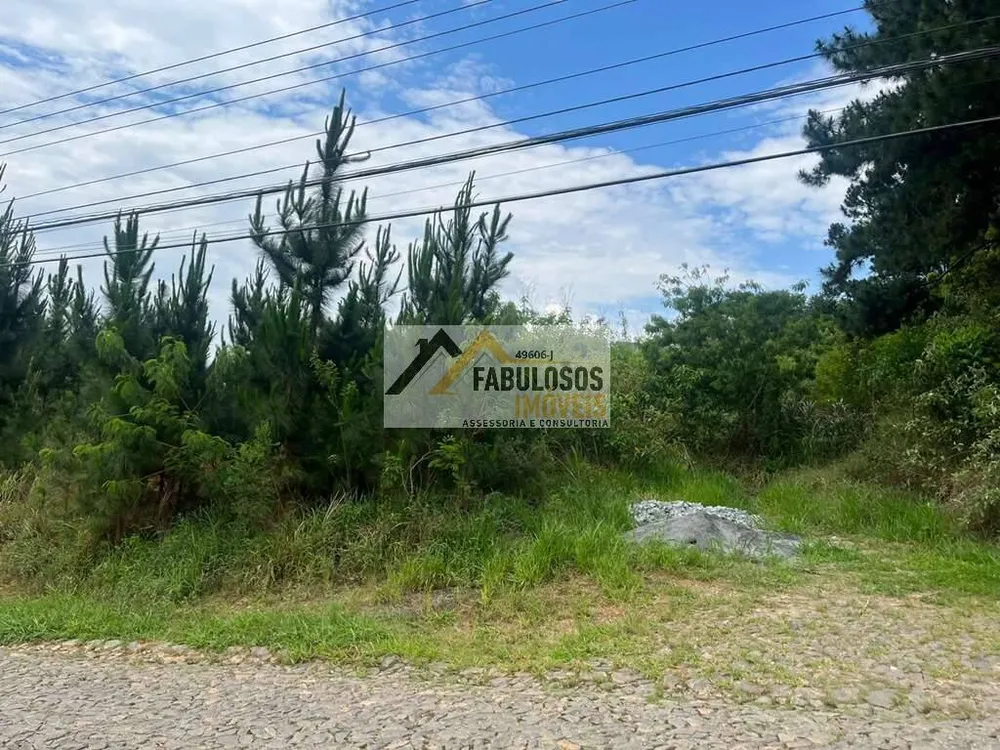 Terreno, 4973 m² - Foto 4
