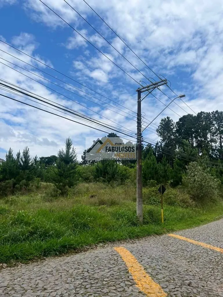Terreno, 4973 m² - Foto 7