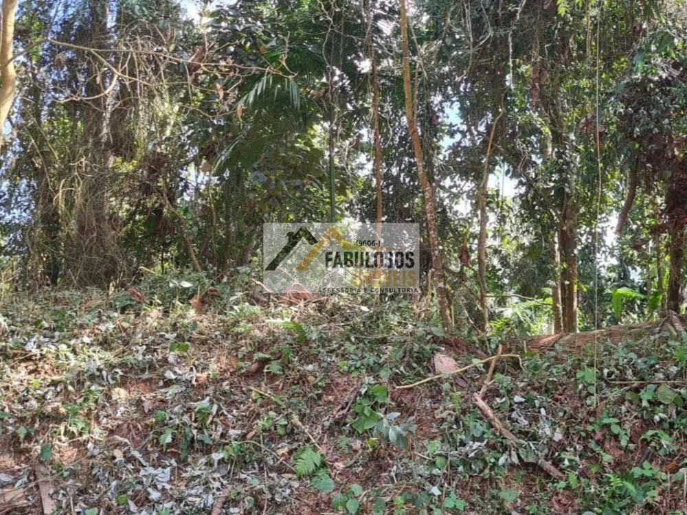 Terreno - Foto 11