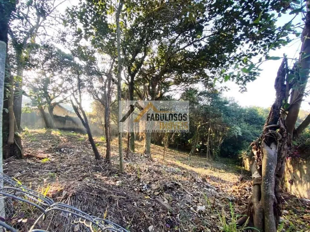 Terreno - Foto 7