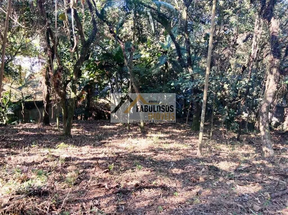 Terreno - Foto 9