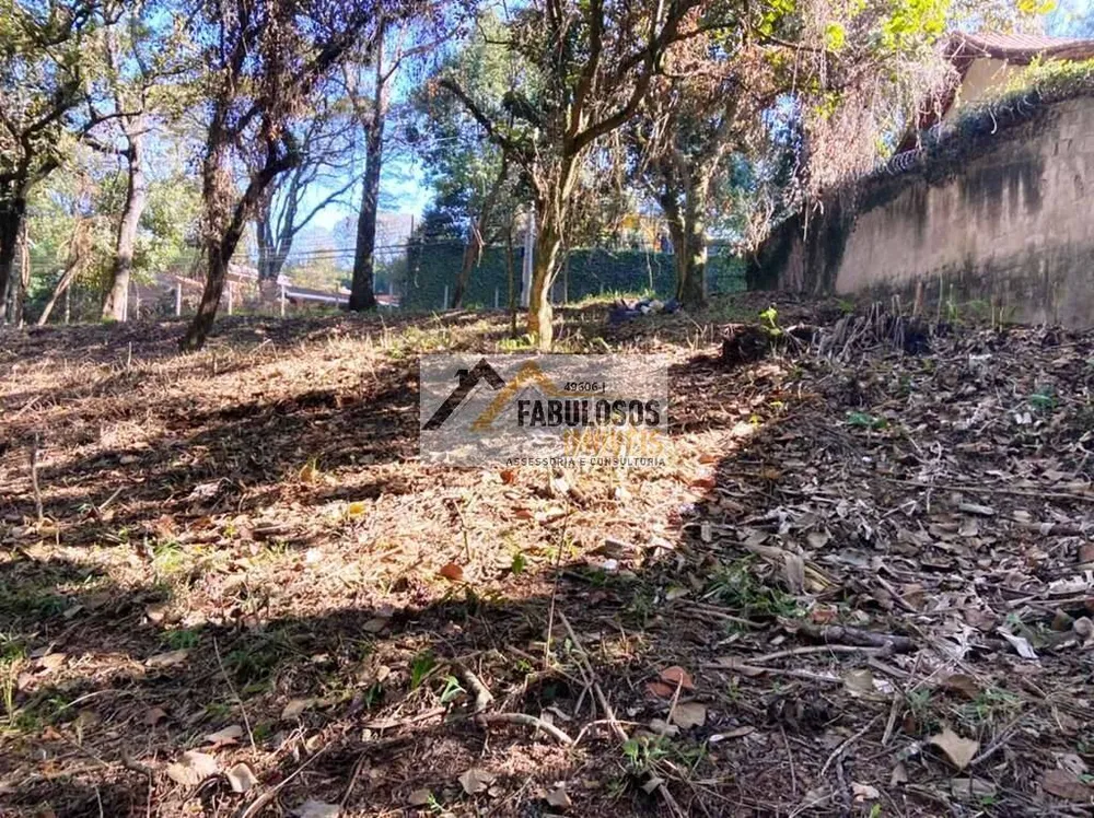 Terreno - Foto 4