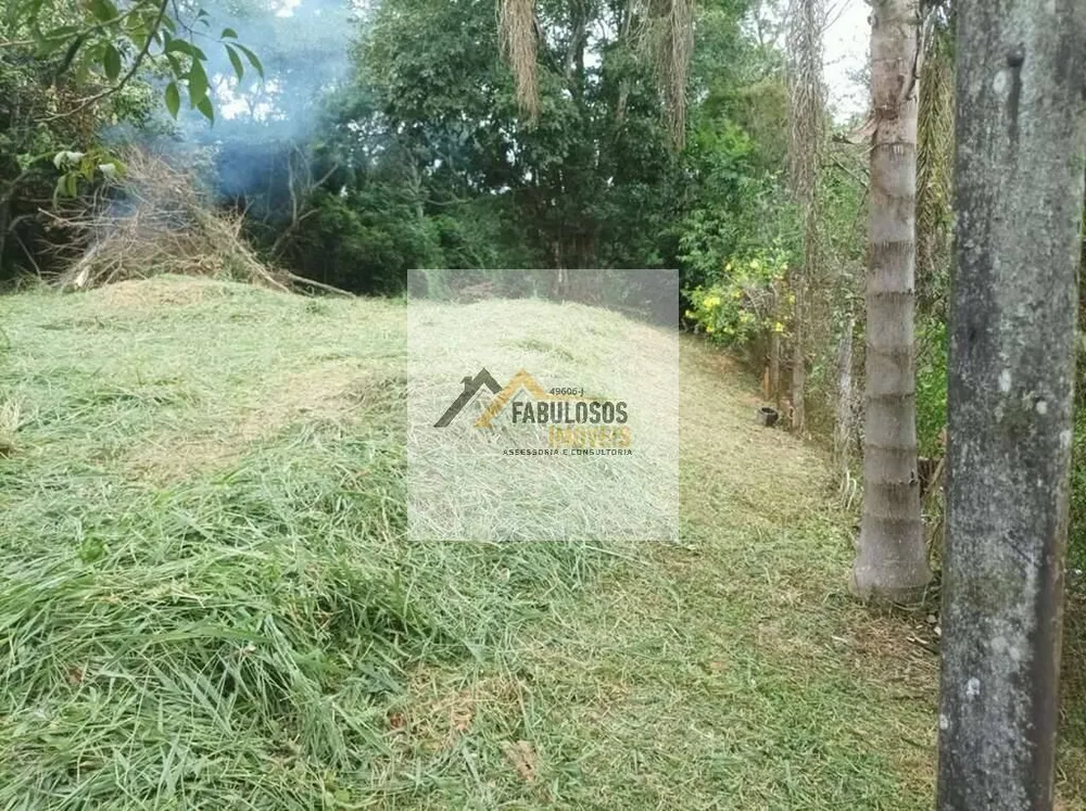 Terreno - Foto 3
