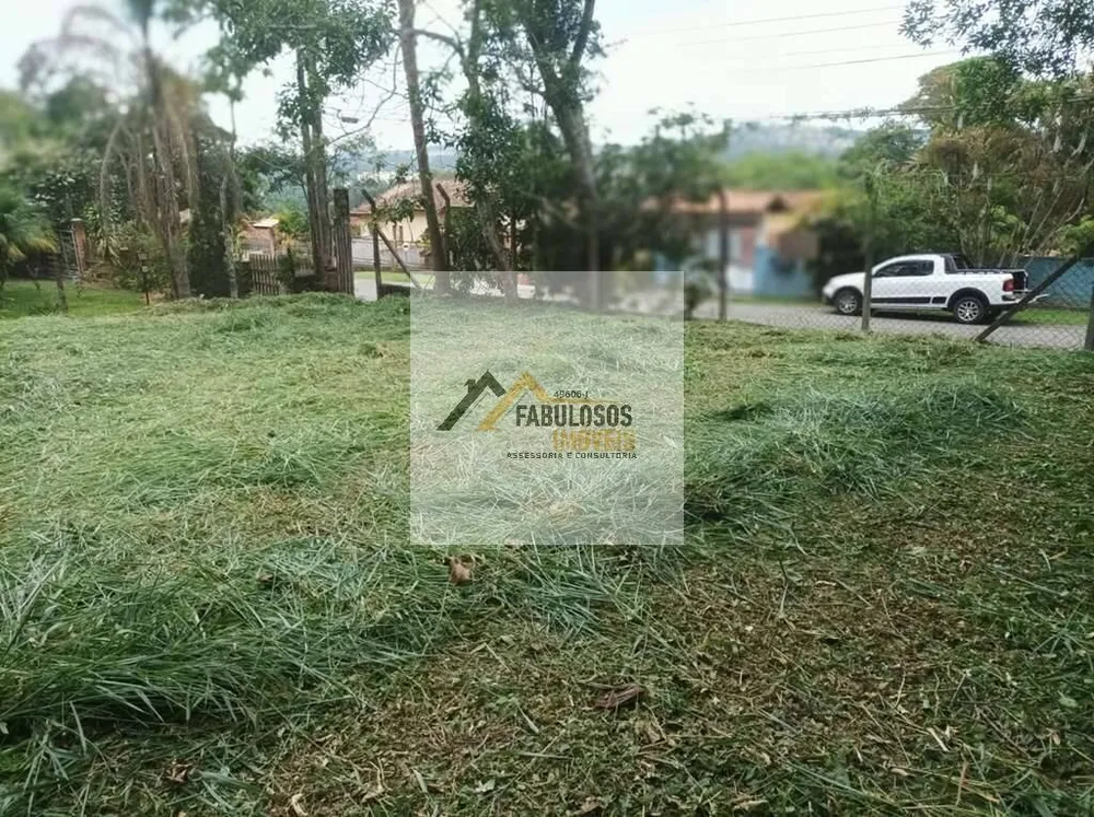 Terreno - Foto 6