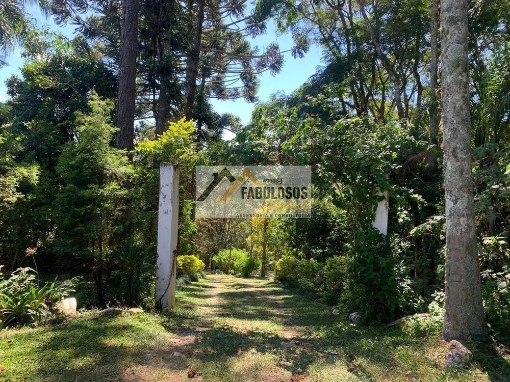 Sítio, 3 quartos, 340 m² - Foto 2