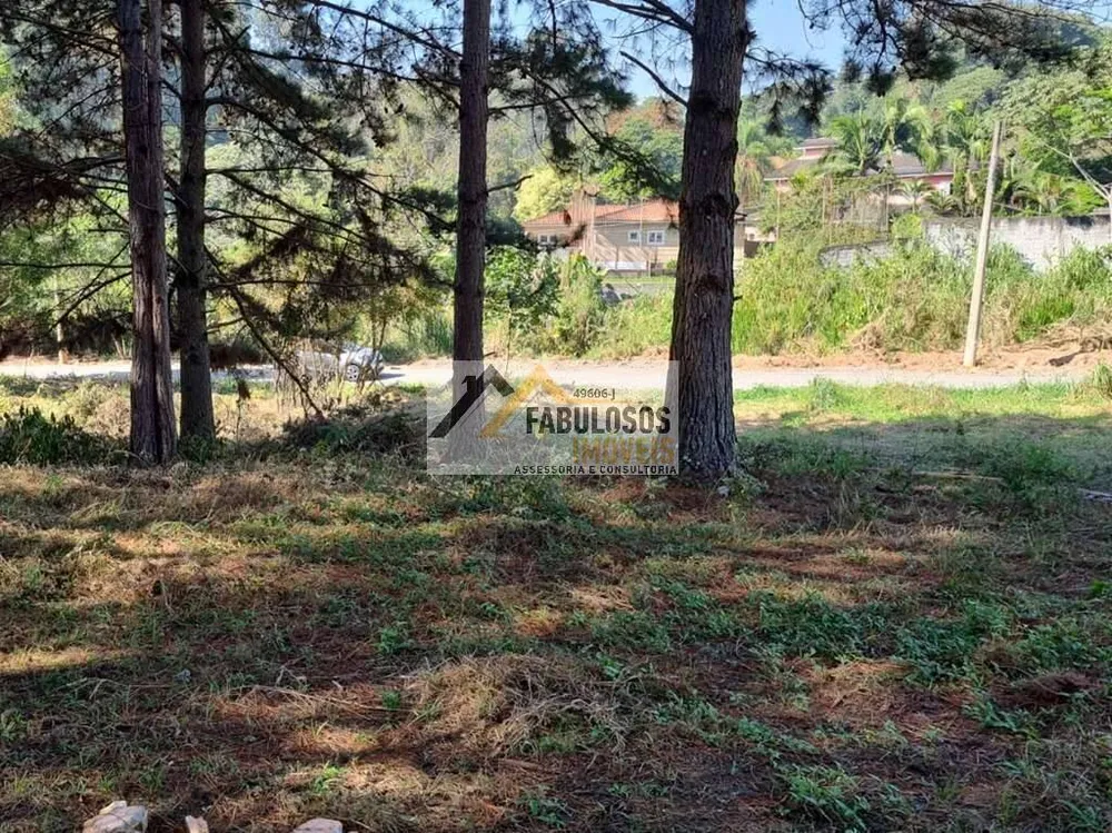 Terreno - Foto 4