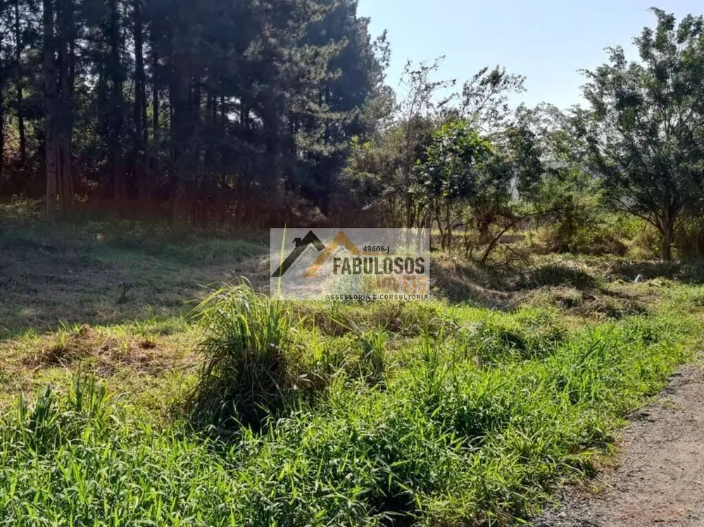 Terreno - Foto 7