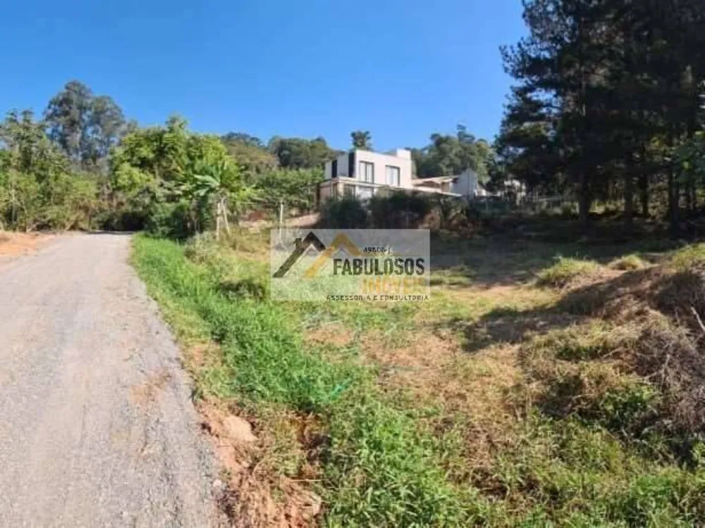 Terreno - Foto 6