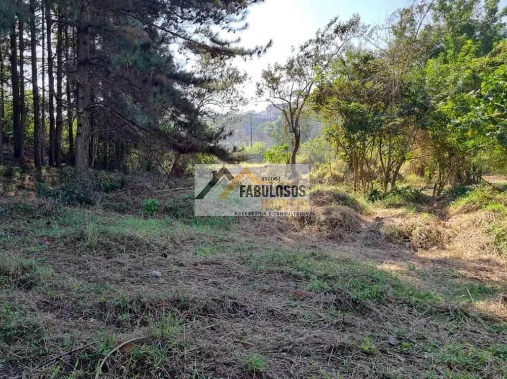 Terreno - Foto 6