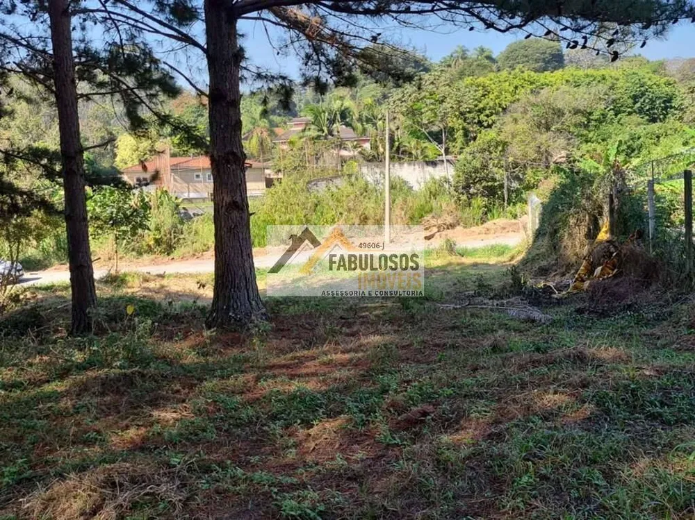 Terreno - Foto 1