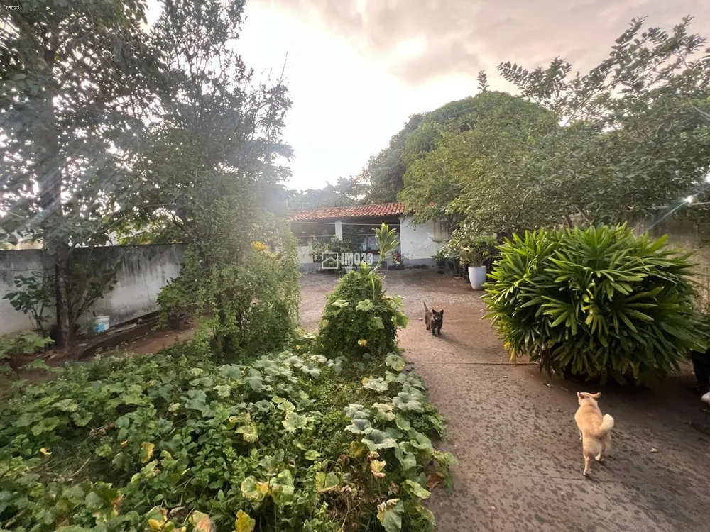 Terreno, 462 m² - Foto 4