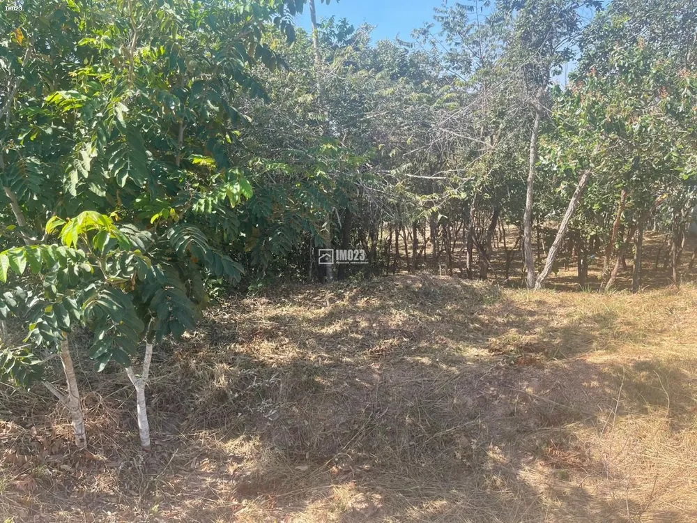Terreno, 1800 m² - Foto 2