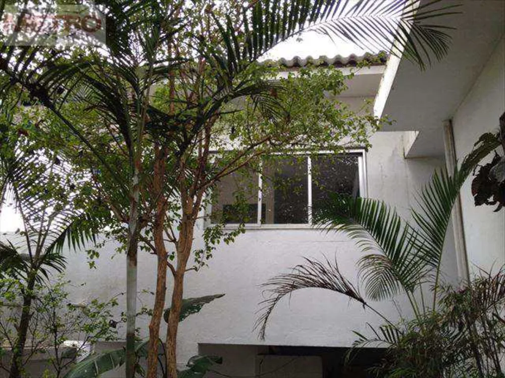 Casa, 3 quartos, 480 m² - Foto 4