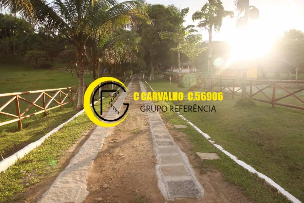 Sítio, 15 quartos, 8 hectares - Foto 122