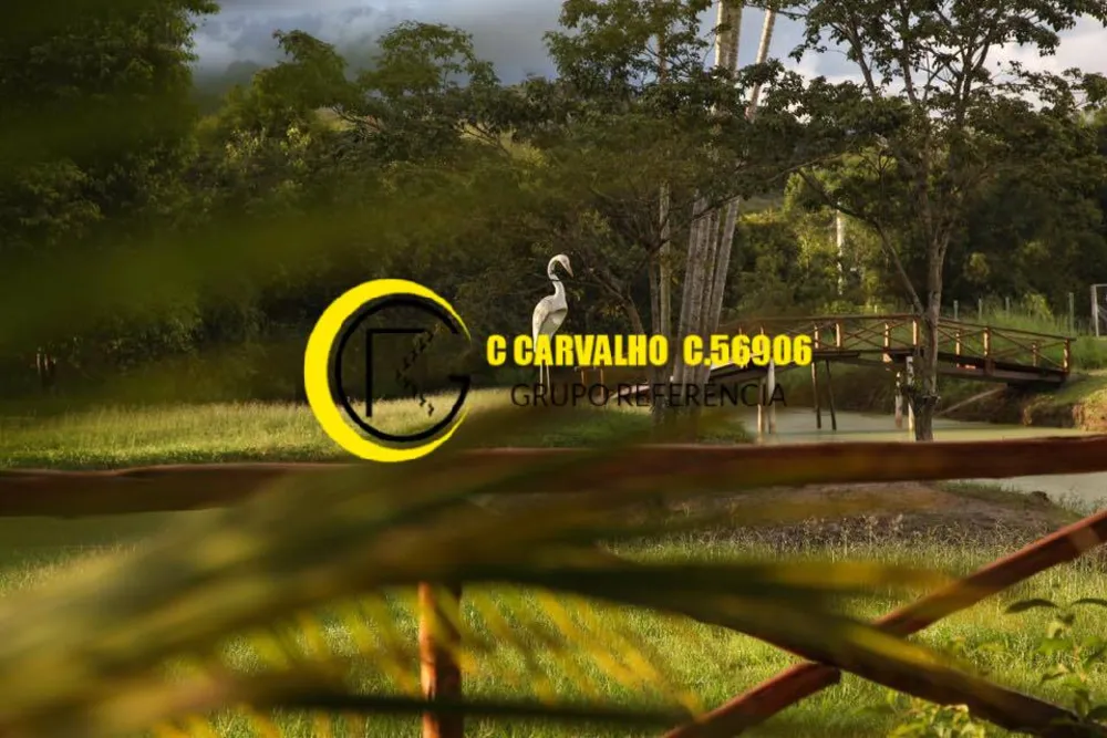 Sítio, 15 quartos, 8 hectares - Foto 118