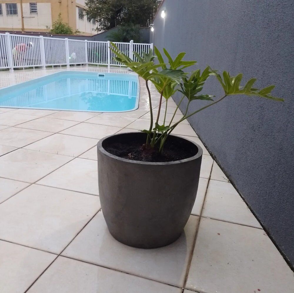 Casa de Condomínio à venda com 3 quartos, 113m² - Foto 8