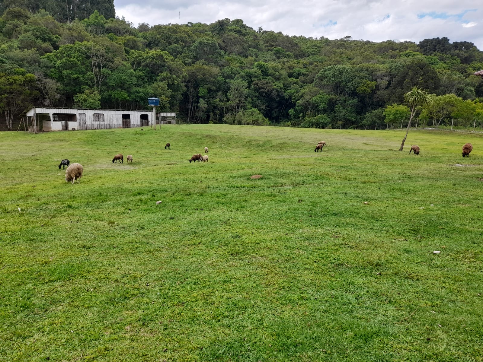 Chácara à venda com 3 quartos, 140m² - Foto 47