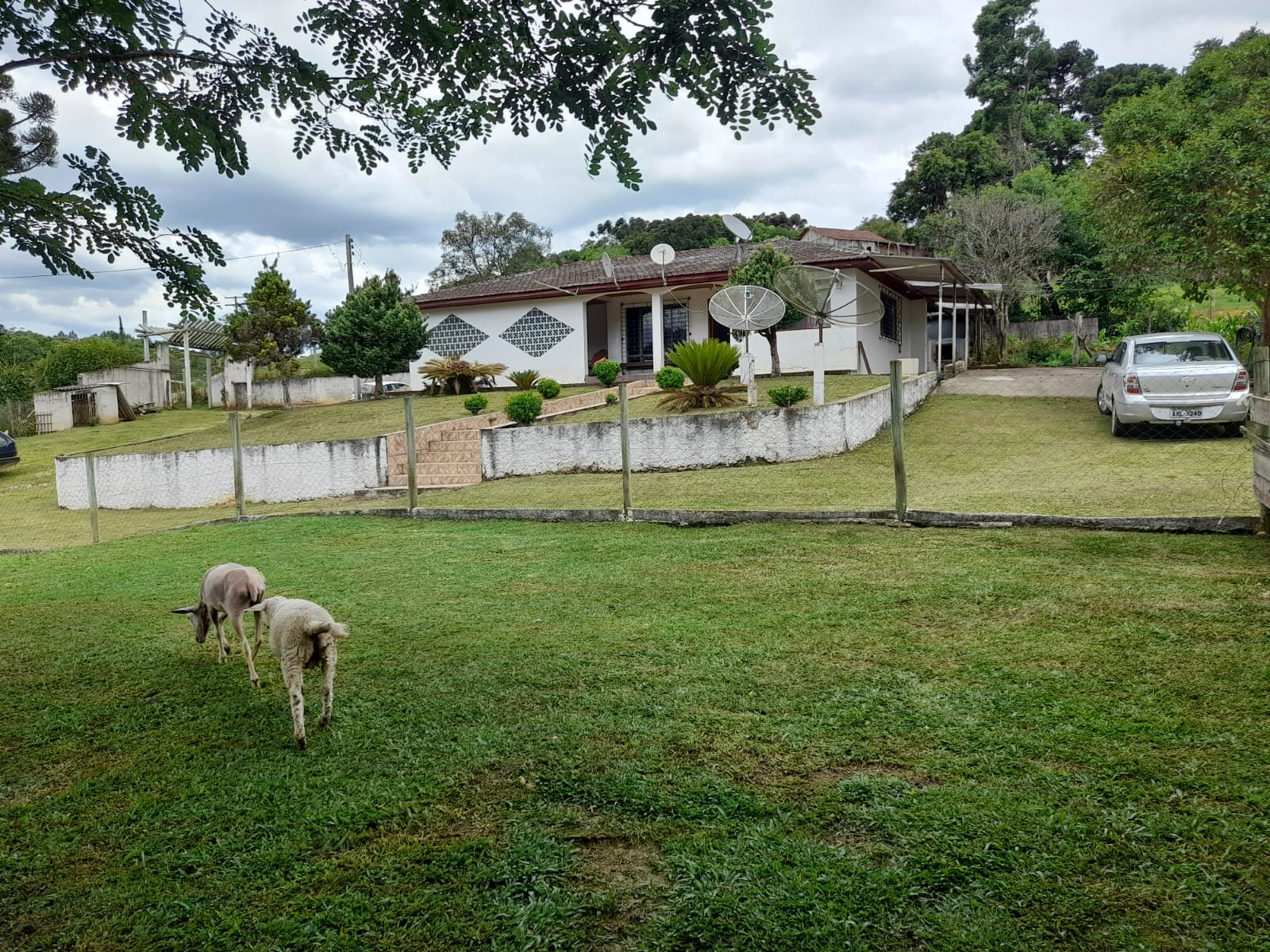 Chácara à venda com 3 quartos, 140m² - Foto 3