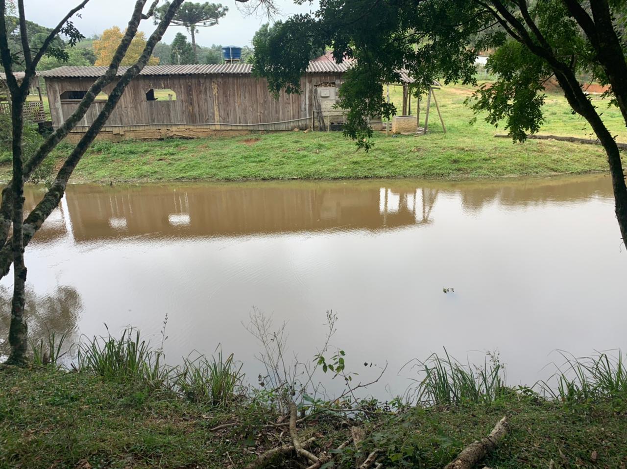 Chácara à venda com 3 quartos, 140m² - Foto 4