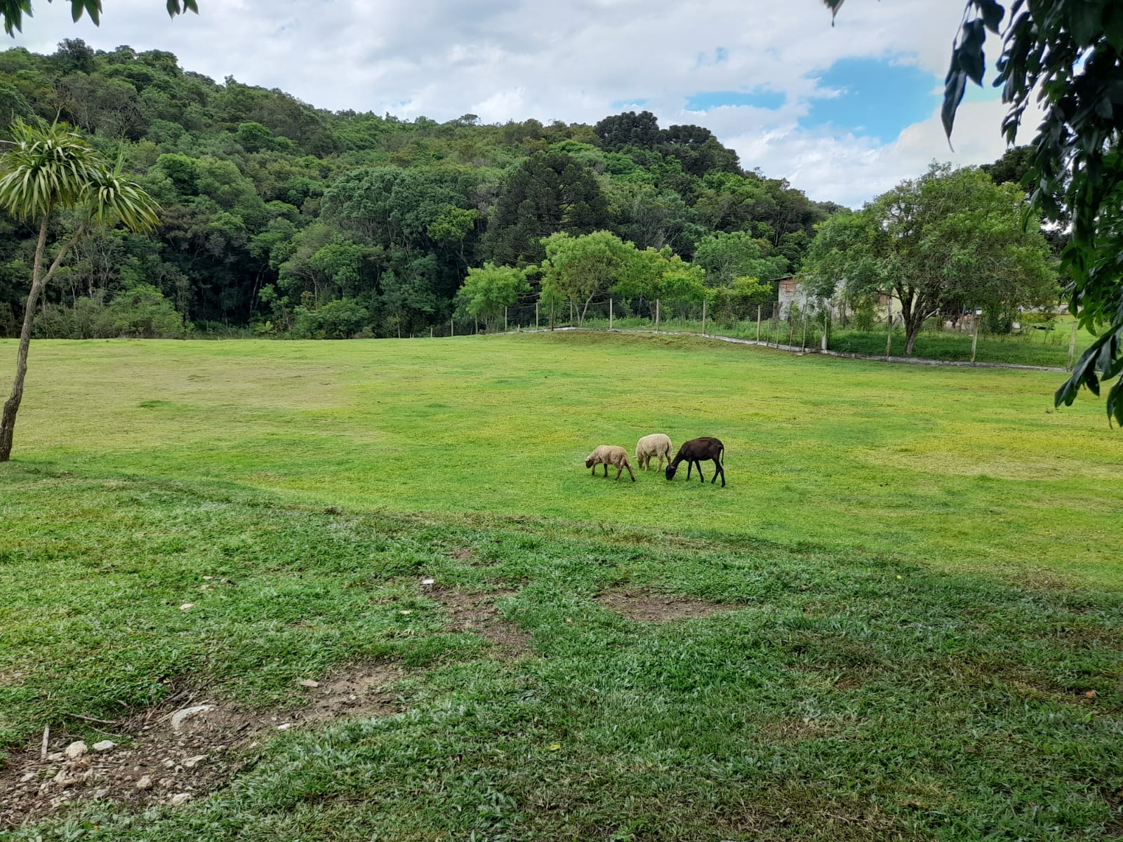 Chácara à venda com 3 quartos, 140m² - Foto 50