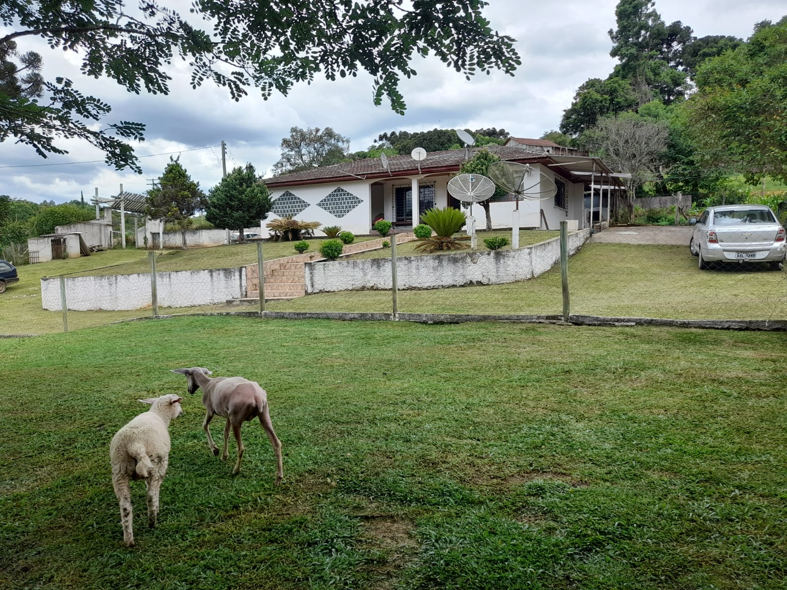 Chácara à venda com 3 quartos, 140m² - Foto 48