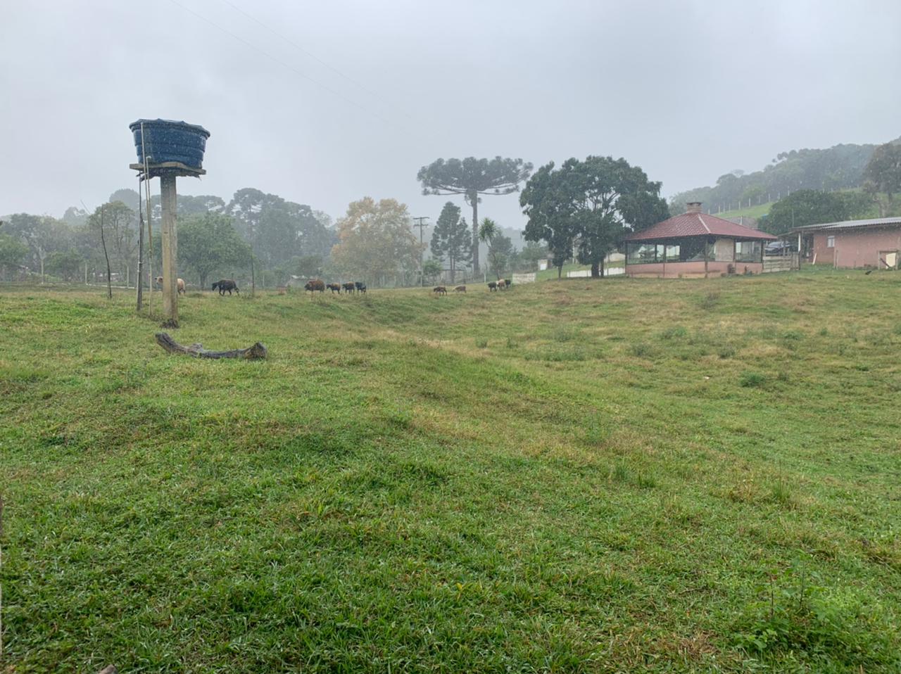 Chácara à venda com 3 quartos, 140m² - Foto 39