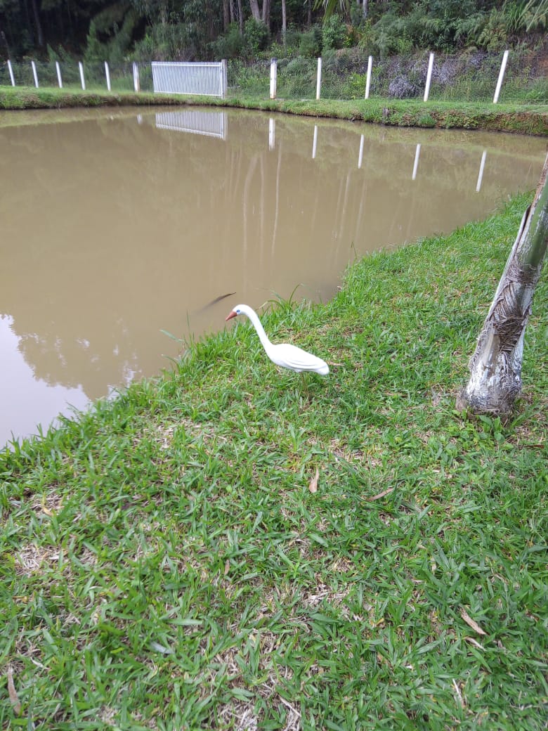 Chácara à venda com 2 quartos, 100m² - Foto 10