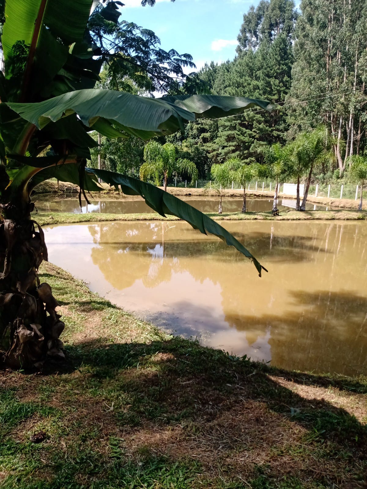 Chácara à venda com 2 quartos, 100m² - Foto 22