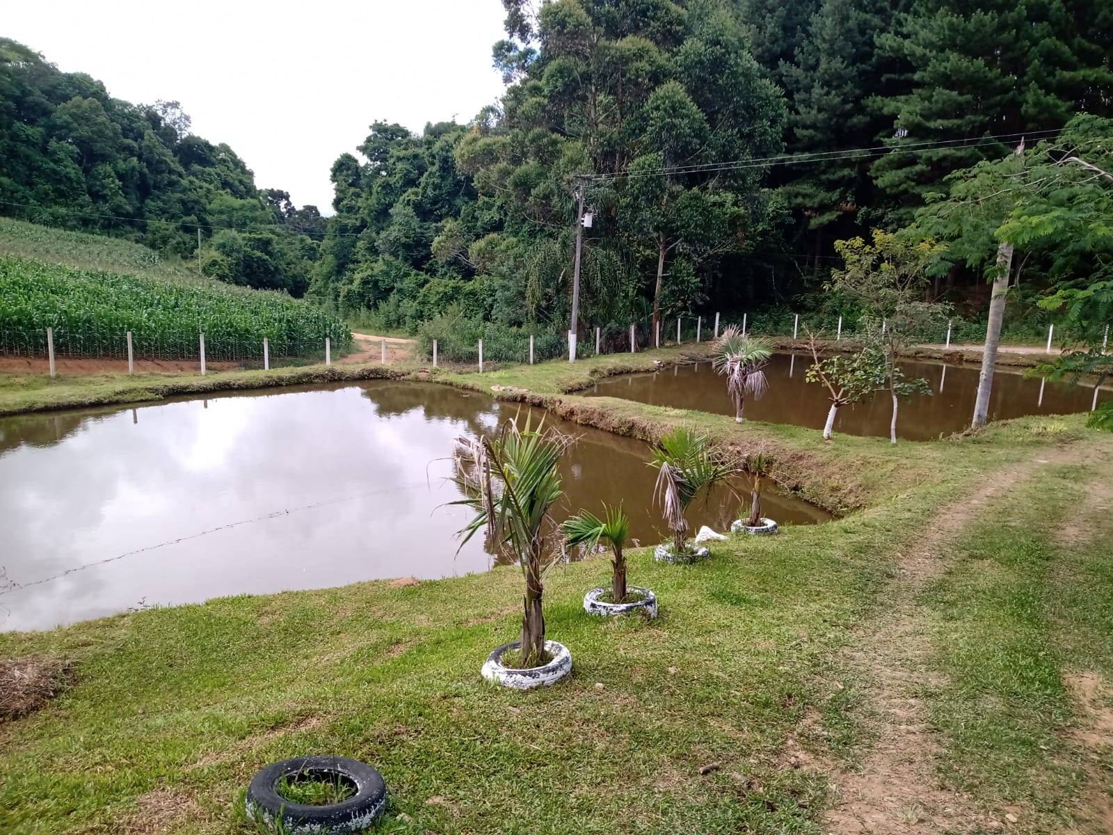 Chácara à venda com 2 quartos, 100m² - Foto 5