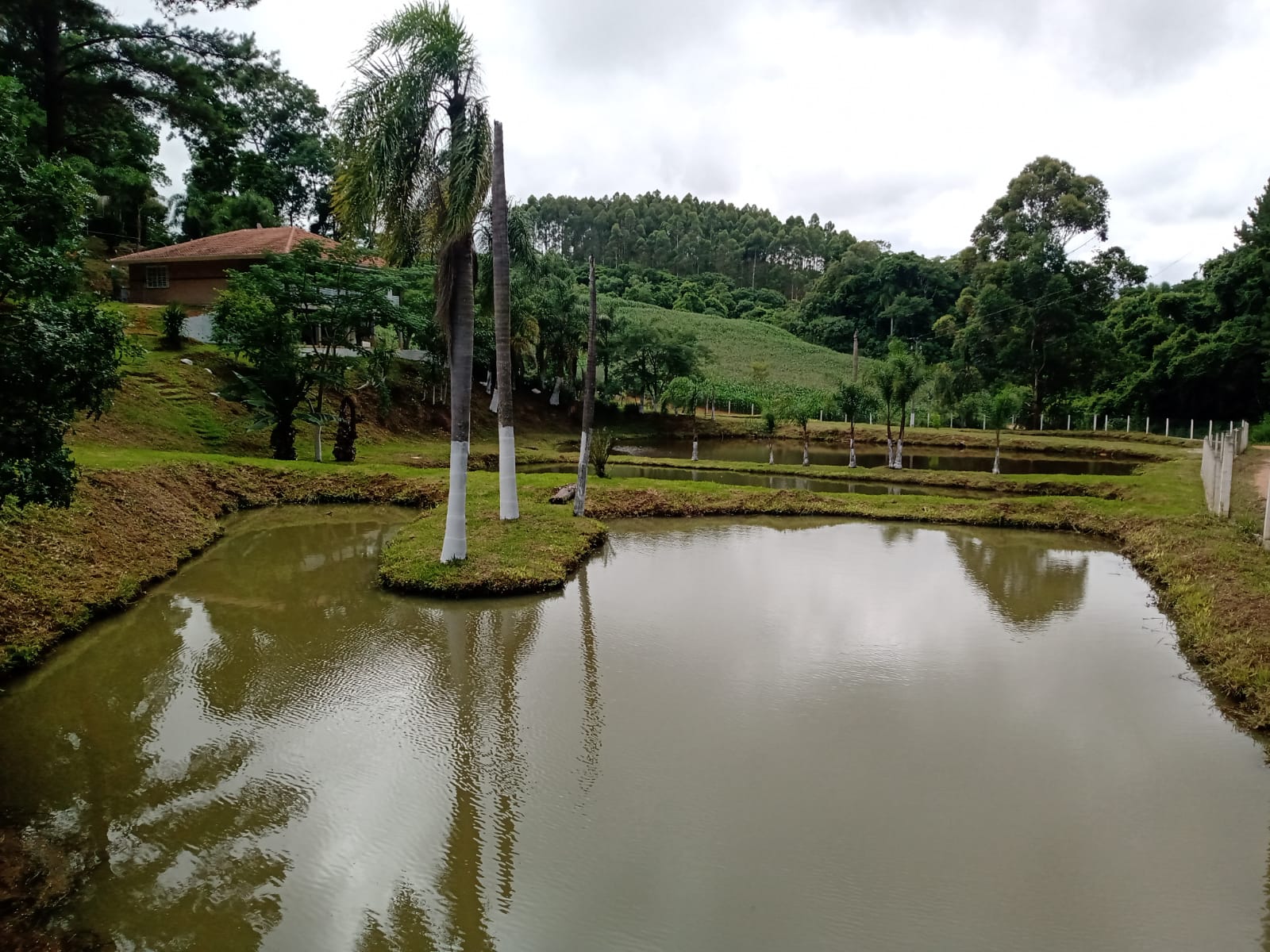 Chácara à venda com 2 quartos, 100m² - Foto 11