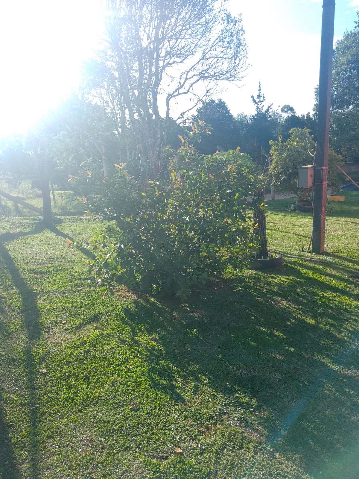 Chácara à venda com 4 quartos, 100m² - Foto 7