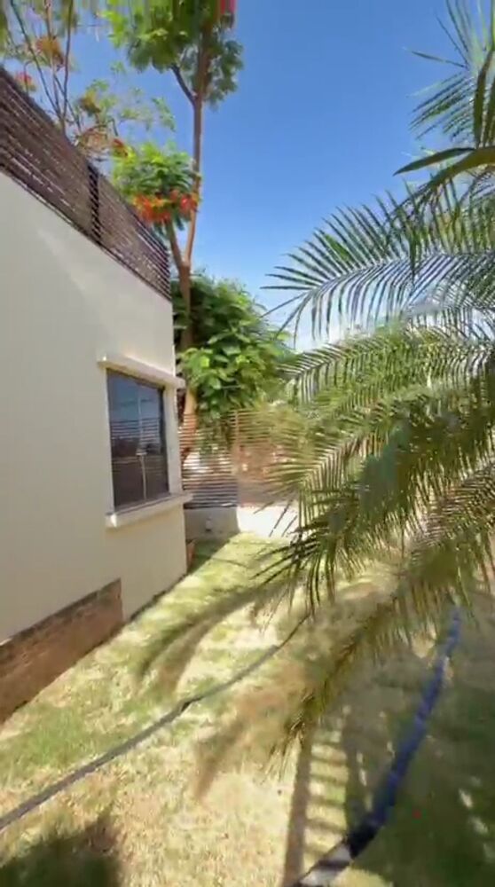 Casa, 3 quartos, 620 m² - Foto 5